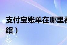 支付宝账单在哪里看（支付宝账单在哪里看介绍）