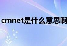 cmnet是什么意思啊（英语cmnet什么意思）