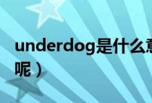 underdog是什么意思（underdog怎么造句呢）