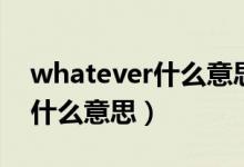 whatever什么意思中文（whatever中文是什么意思）