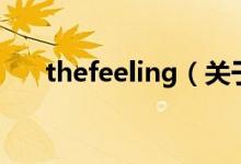 thefeeling（关于thefeeling的介绍）