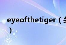 eyeofthetiger（关于eyeofthetiger的介绍）