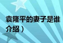 袁隆平的妻子是谁（关于袁隆平的妻子是谁的介绍）