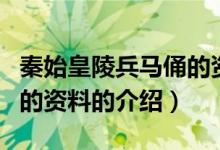 秦始皇陵兵马俑的资料（关于秦始皇陵兵马俑的资料的介绍）