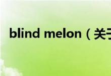 blind melon（关于blind melon的介绍）