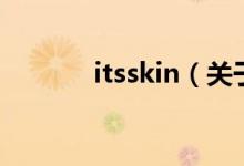 itsskin（关于itsskin的介绍）