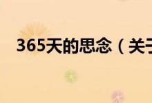 365天的思念（关于365天的思念的介绍）