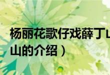 杨丽花歌仔戏薛丁山（关于杨丽花歌仔戏薛丁山的介绍）