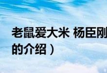 老鼠爱大米 杨臣刚（关于老鼠爱大米 杨臣刚的介绍）