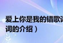 爱上你是我的错歌词（关于爱上你是我的错歌词的介绍）