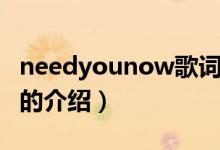 needyounow歌词（关于needyounow歌词的介绍）