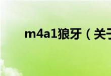 m4a1狼牙（关于m4a1狼牙的介绍）