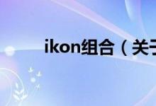 ikon组合（关于ikon组合的介绍）