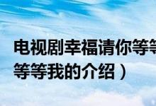 电视剧幸福请你等等我（关于电视剧幸福请你等等我的介绍）