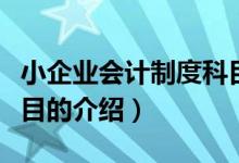 小企业会计制度科目（关于小企业会计制度科目的介绍）