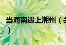 当海南遇上潮州（关于当海南遇上潮州的介绍）