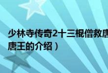 少林寺传奇2十三棍僧救唐王（关于少林寺传奇2十三棍僧救唐王的介绍）