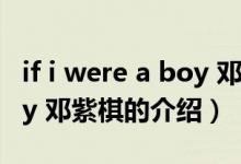 if i were a boy 邓紫棋（关于if i were a boy 邓紫棋的介绍）