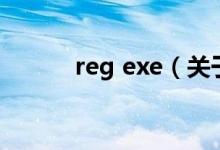 reg exe（关于reg exe的介绍）