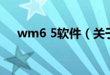 wm6 5软件（关于wm6 5软件的介绍）