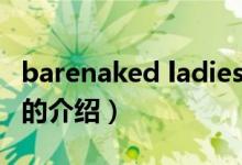 barenaked ladies（关于barenaked ladies的介绍）