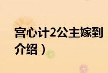 宫心计2公主嫁到（关于宫心计2公主嫁到的介绍）