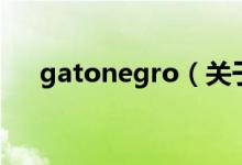 gatonegro（关于gatonegro的介绍）