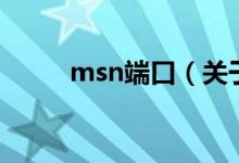 msn端口（关于msn端口的介绍）