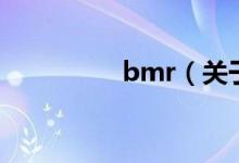 bmr（关于bmr的介绍）