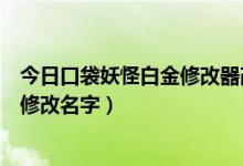 今日口袋妖怪白金修改器改不了性格（口袋白金修改器如何修改名字）