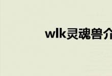 wlk灵魂兽介绍(WLK灵魂兽)