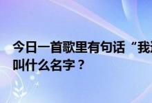 今日一首歌里有句话“我还在等你，静静的爱我”。这首歌叫什么名字？