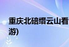 重庆北碚缙云山看日出(重庆北碚缙云山一日游)