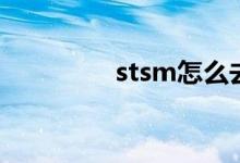 stsm怎么去（stsm在哪）