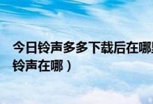 今日铃声多多下载后在哪里找（如何查找到铃声多多下载的铃声在哪）