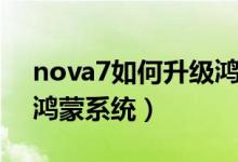 nova7如何升级鸿蒙系统（nova7怎样升级鸿蒙系统）