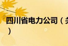 四川省电力公司（关于四川省电力公司的介绍）