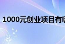 1000元创业项目有哪些（1000元创业项目）