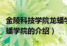 金陵科技学院龙蟠学院（关于金陵科技学院龙蟠学院的介绍）