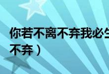 你若不离不弃我必生死相依英文版（你若不离不弃）