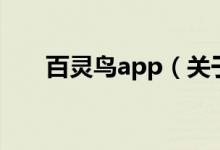 百灵鸟app（关于百灵鸟app的介绍）