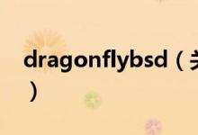 dragonflybsd（关于dragonflybsd的介绍）