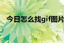 今日怎么找gif图片（怎么找gif图的出处）