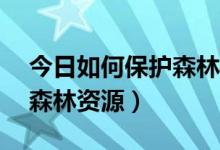 今日如何保护森林英语作文60字（如何保护森林资源）