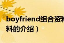 boyfriend组合资料（关于boyfriend组合资料的介绍）