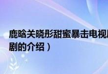 鹿晗关晓彤甜蜜暴击电视剧（关于鹿晗关晓彤甜蜜暴击电视剧的介绍）