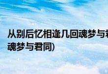 从别后忆相逢几回魂梦与君同是什么意思(从别后忆相逢几回魂梦与君同)