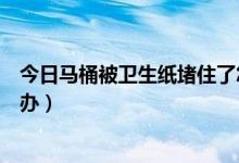 今日马桶被卫生纸堵住了怎么办（马桶被卫生纸堵住了怎么办）