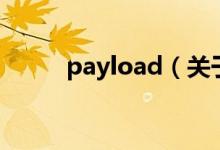 payload（关于payload的介绍）