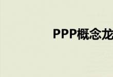 PPP概念龙头（PPP概念）